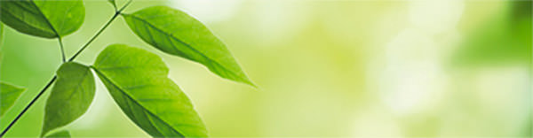 Invoice collection agency